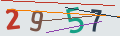 verifycode